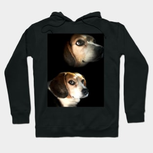 The Double Exposure Beagle Hoodie